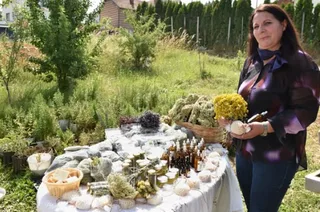 Mevlide Vrajolli